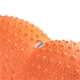 relexa Peanut Faszienrolle, orange, 17 x 33,5cm